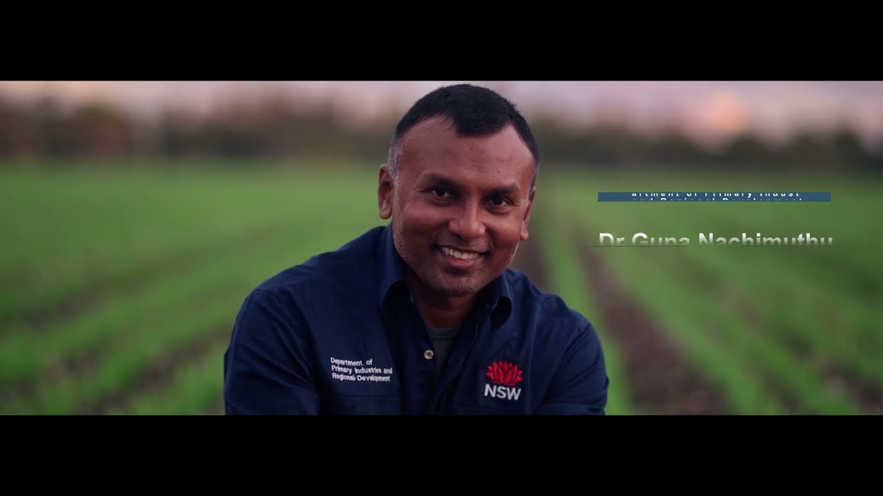 2026 Cotton Seed Distributors Researcher of the Year Nominee: Dr Guna Nachimuthu