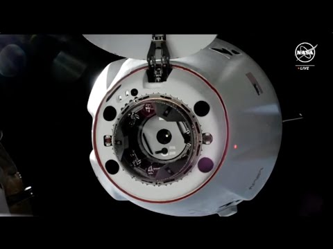 SpaceX CRS-29 Cargo Dragon docks with space station