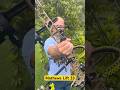 Mathews Lift 33 Review Mathewsarchery Archery Bowhunting Hunting Ultraview 3darchery Uv