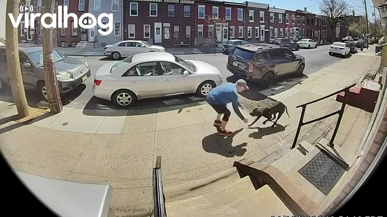 Mailman Darts Inside As Loose Dog Runs Towards Him || ViralHog