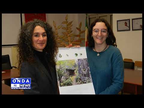 onda tg sera 10012026