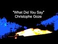"What did you say" - Christophe Goze 