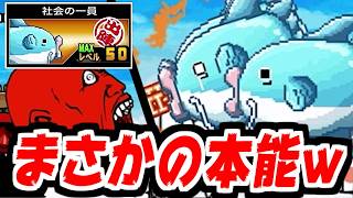 【にゃんこ大戦争】なんで激レアのマンボウに本能追加されてんだよｗｗｗしかも全属性妨害というまさかの能力！早速ボスラッシュで試してみた！【本垢実況Re#2445】