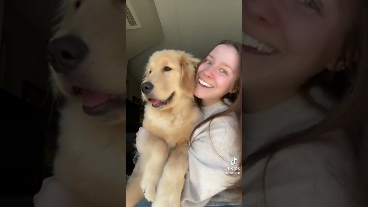 Coincidence? I think not 🐶#shorts