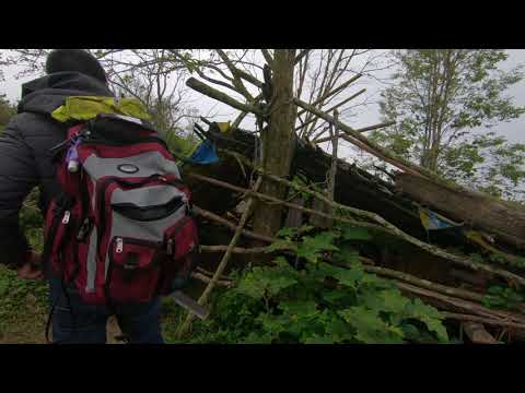 LZ PEANUTS- RAW FOOTAGE- GH010432