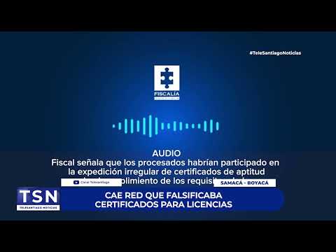 CAE RED QUE FALSIFICABA CERTIFICADOS PARA LICENCIAS