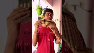 Download lagu Final Countdown | #panflute #finalcountdown #instrumental #metal #metalrock2000s #viral #viralvideo mp3