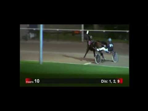 2011 Erwin Bot prijs - Tselena Ringeat (Andre Bakker)