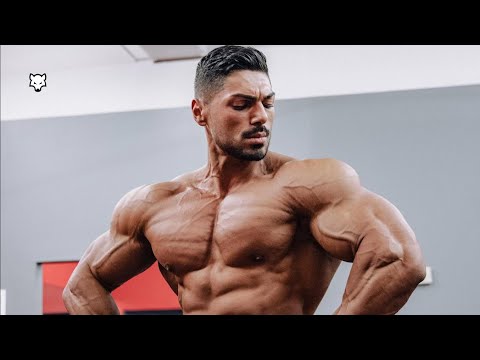 BAD WOLF 🐺 - Andrei Deiu