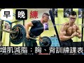 【魔鬼阿諾】增肌減脂計畫!早晚胸背肌課表分享#自然健美