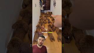 O Cachorrinho se ESCONDE pra Não tomar BANHO! 🤣