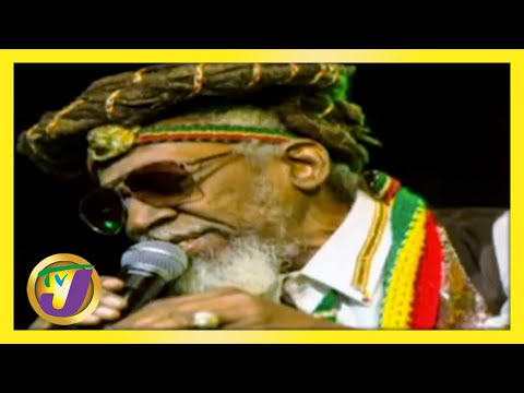 Bunny Wailer Jamaica's Reggae Legend TVJ Interview