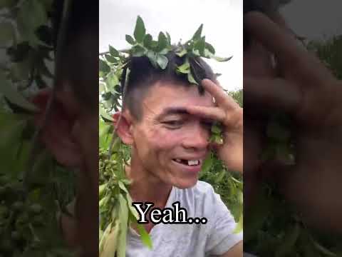 Hello My Friend #soytiet #shorts