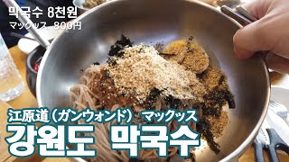 한국 일상 Vlog 강원도 막국수집에 가 보았습니다- 맛알못의 음식리뷰-애니악