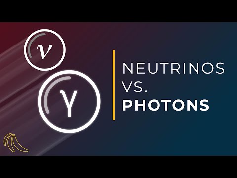 How fast do neutrinos travel? | Even Bananas