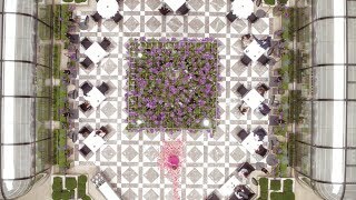 Welcome to Four Seasons Hotel George V, Paris