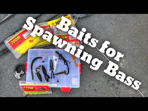 Baits for Bass Fishing During the Spawn - Tackle Tuesday