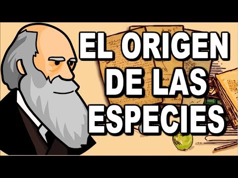 The Origin of Species by Charles Darwin || Mr. Ryan || Special 1K