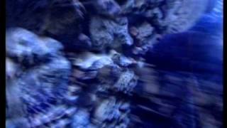 Sopa de Cabra- El boig de la ciutat