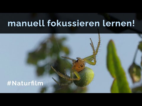 manuell Fokussieren lernen - Übung macht den Meister