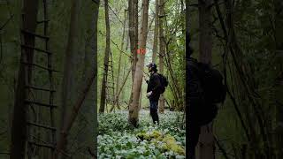 Download lagu Seperti inilah suara pohon 🌳🔊 (@chasseurdesons) mp3 Download lagu Seperti inilah suara pohon 🌳🔊 (@chasseurdesons) mp3