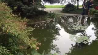 Create Serene Garden Spaces Using Textured Plants