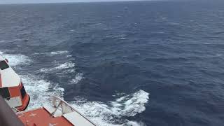 One of the reasons why we cruise! 😎