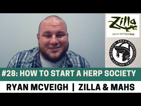 YouTube reptile video