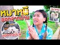วิธี