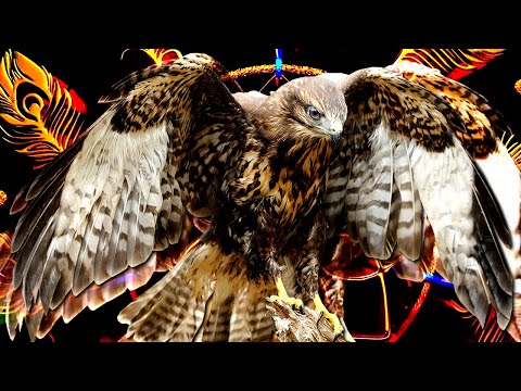 MÚSICA XAMÂNICA PARA DESPERTAR A INTUIÇÃO E O PODER PESSOAL, COM SOLFEGGIO 852HZ, LUZ DIVINA E FORÇA