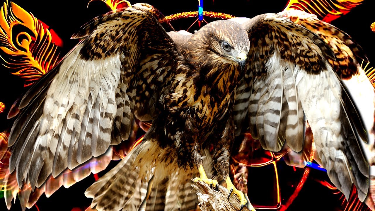 MÚSICA XAMÂNICA PARA DESPERTAR A INTUIÇÃO E O PODER PESSOAL, COM SOLFEGGIO 852HZ, LUZ DIVINA E FORÇA