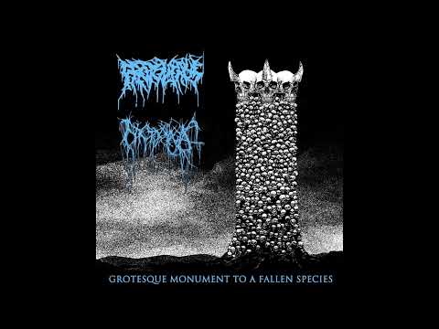 Protovirus & Nyctophagia - Grotesque Monument to a Fallen Species (split)