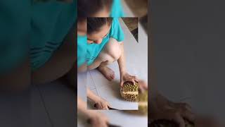 Download lagu wow, tembem yah duriannya #shorts #rekomendasi mp3 Download lagu wow, tembem yah duriannya #shorts #rekomendasi mp3