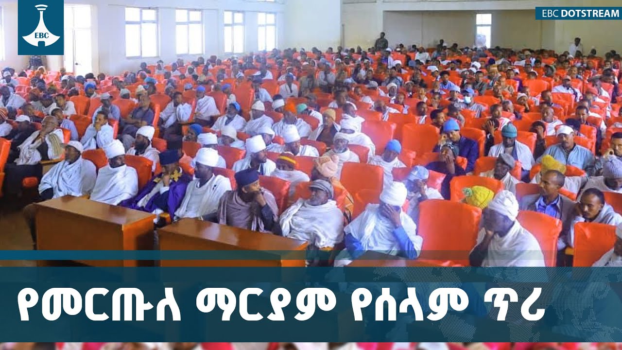 የአማራ ክልልን ሰላም ለማፅናት እየተደረጉ ያሉ የሰላም ድርድሮች ተጠናክረው ሊቀጥሉ ?