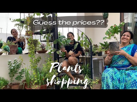 Guess the prices of these plants? | Plants Haul