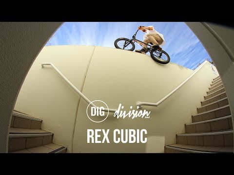 Rex Cubic: Division Brand - DIG BMX