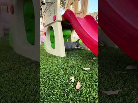 Video 3