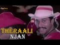 Theraali Njan Video Song Veena Meettiya Vilangukal  Rahman