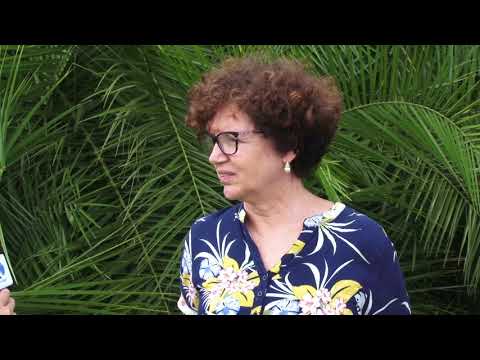 Especialista faz alerta sobre o Aedes Aegypti