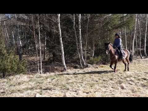 Ida & Doris terrängträning 210424