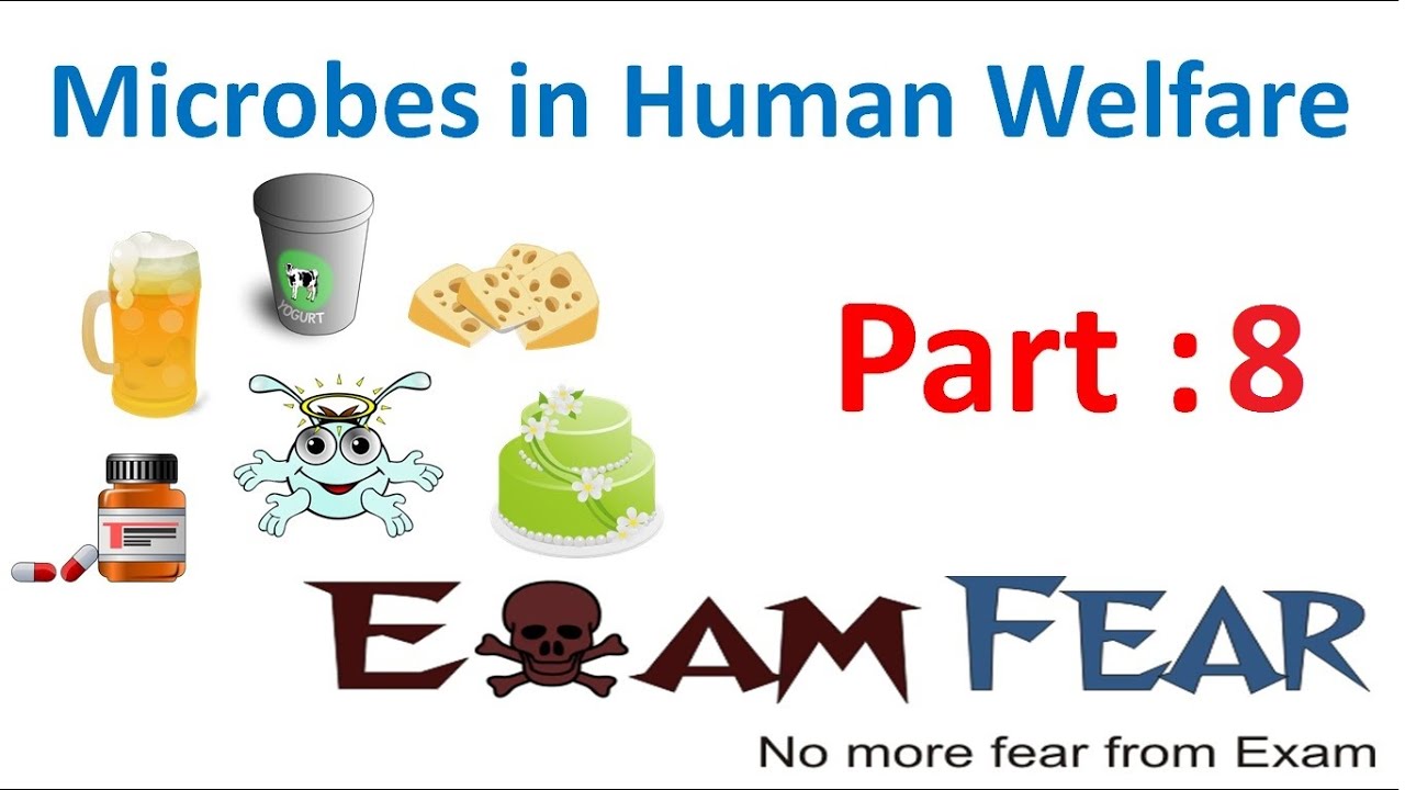 Biology Microbes in Human Welfare part 8 (Chemicals: Enzymes, Organic Acids) class 12 XII