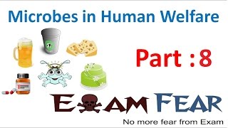 Biology Microbes in Human Welfare part 8 (Chemicals: Enzymes, Organic Acids) class 12 XII