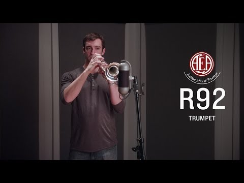 AEA R92 Ribbon Microphone (Black Friday Offer!) image 6