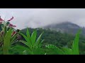 Ho Aaj Mausam Bada Beimaan Hai Status Video