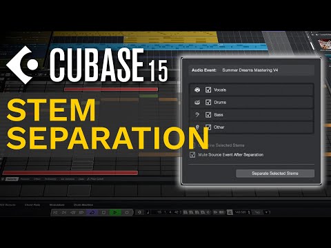 Video ID 8gt4tl4Wyn8