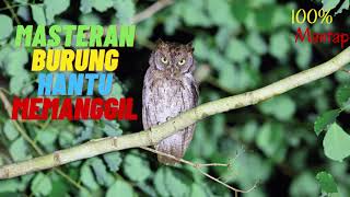 Download lagu MASTERAN BURUNG CELEPUK BURHAN MEMANGGIL mp3 Download lagu MASTERAN BURUNG CELEPUK BURHAN MEMANGGIL mp3