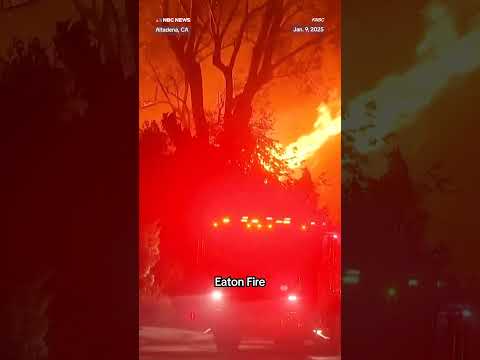 Altadena woman discovers her home is still standing after being told it had burned down