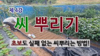 제 4강  씨 뿌리기 초보도 실패 없는 씨 뿌리는 방법! #씨앗 100%잘 나는 방법.