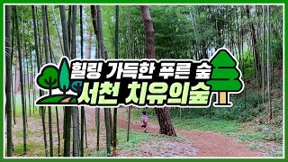 [#온택트숲여행] 힐링 가득한 푸른 숲 '서천 치유의숲'