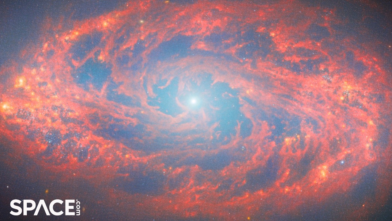 Stunning spiral galaxy NGC 5134 spied by James Webb Space Telescope